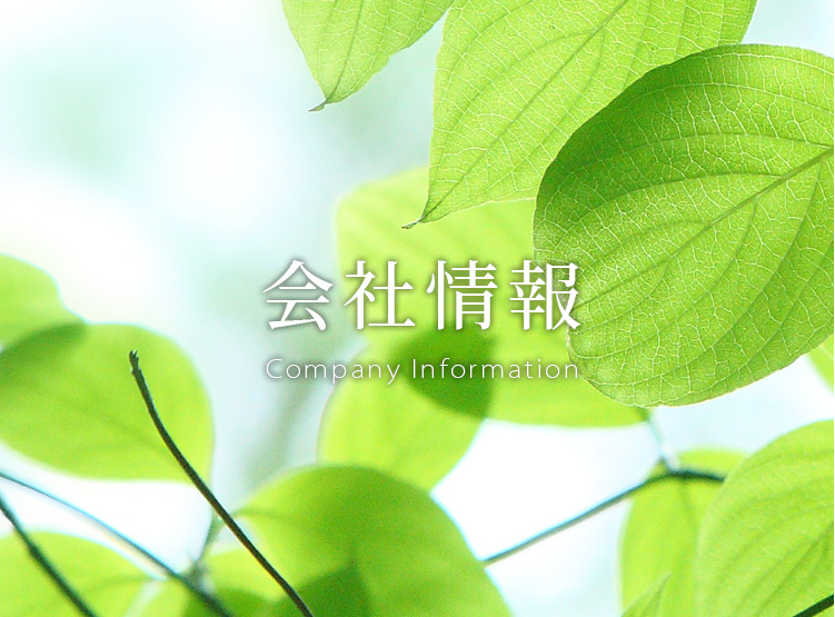 スマートフォン用の画像