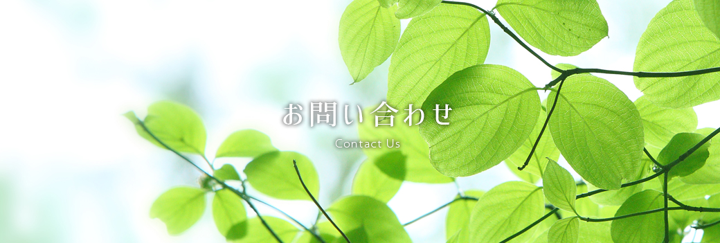 パソコン用の画像